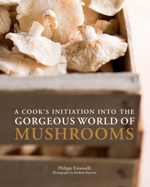 Cover image for book A Cook's Initiation into the Gorgeous World of Mushrooms