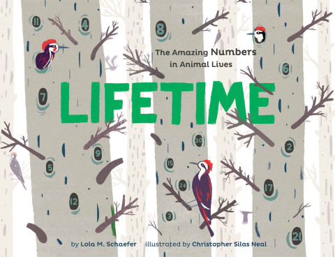 Cover image for book Lifetime