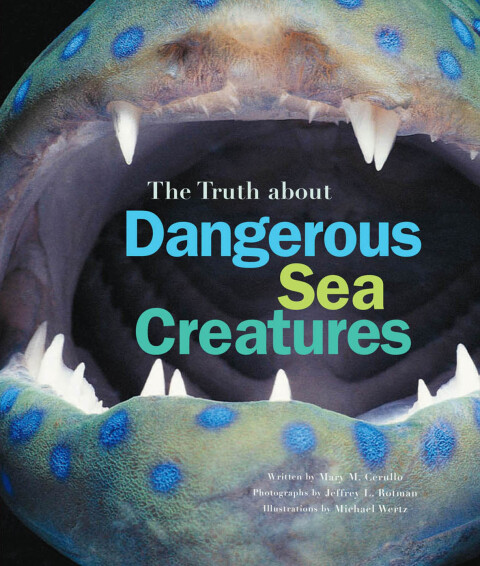 Cover image for book The Truth About Dangerous Sea Creatures