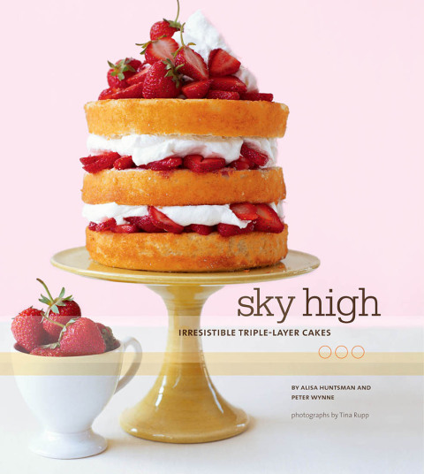 Cover image for book Sky High
