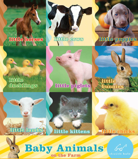 Cover image for book Baby Animals on the Farm