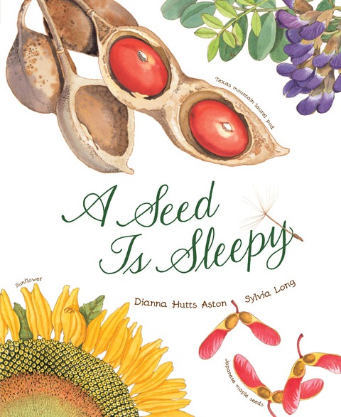 Cover image for book A Seed Is Sleepy