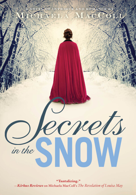 Cover image for book Secrets in the Snow