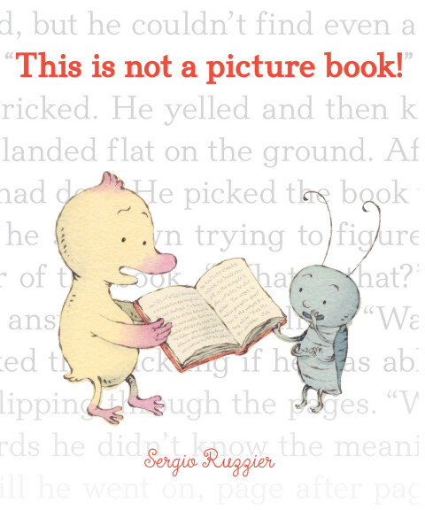 Cover image for book This Is Not a Picture Book!