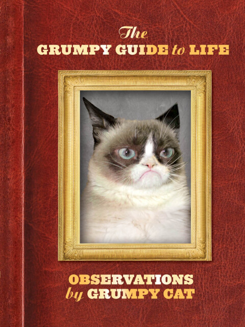 Cover image for book The Grumpy Guide to Life