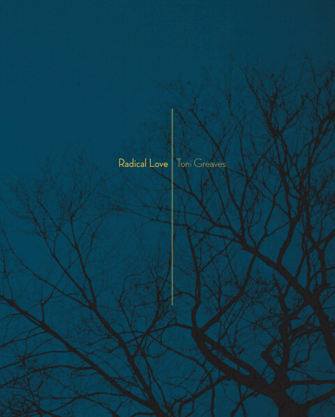 Cover image for book Radical Love