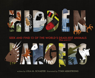 Hidden Dangers
