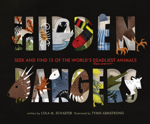 Cover image for book Hidden Dangers