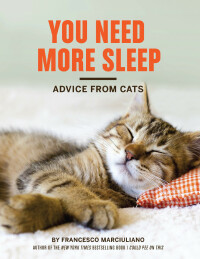 Cover image: You Need More Sleep 9781452138916