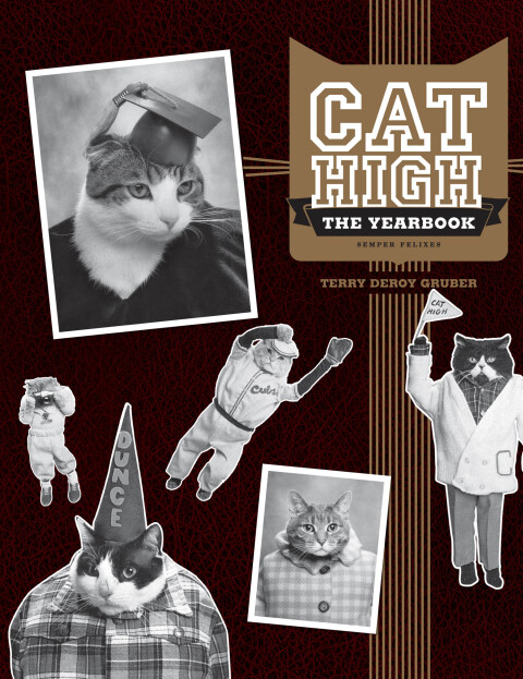 Cover image for book Cat High