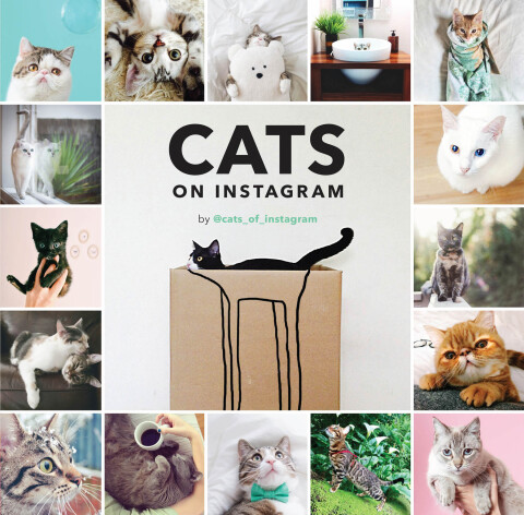 Cover image for book Cats on Instagram
