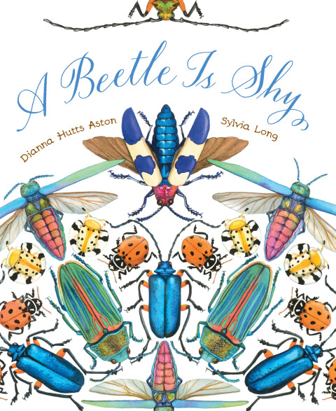 Cover image for book A Beetle Is Shy