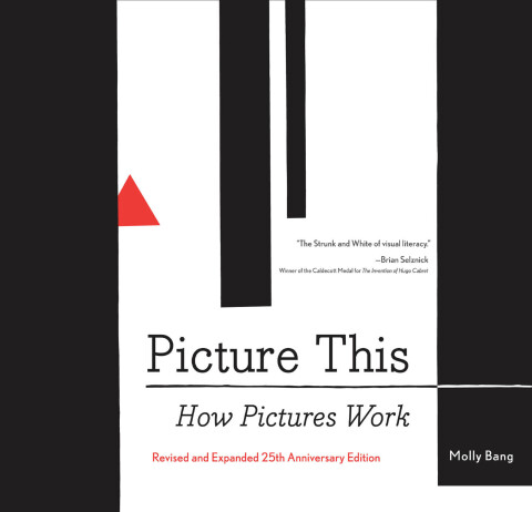 Picture This:How Pict....(Rev.+Updated)