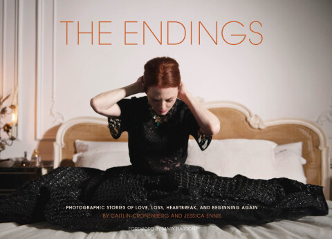Cover image for book The Endings