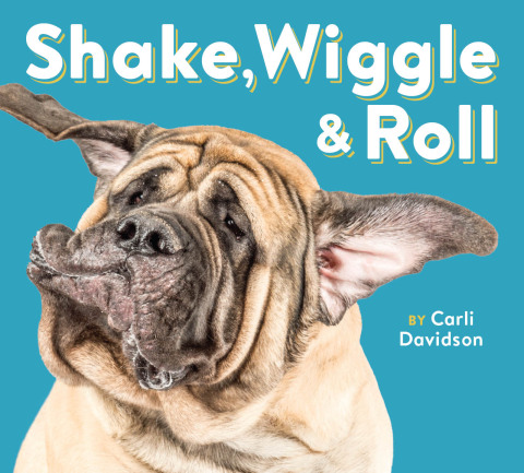 Cover image for book Shake, Wiggle & Roll