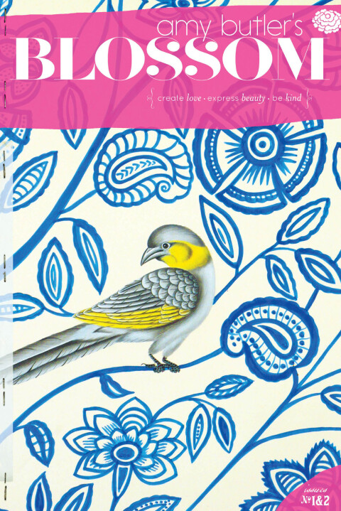 Cover image for book Amy Butler's Blossom
