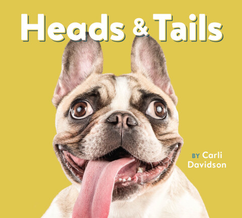 Cover image for book Heads & Tails