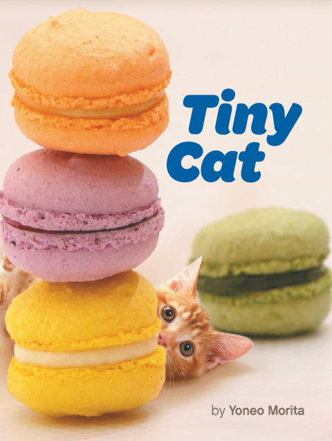 Cover image for book Tiny Cat