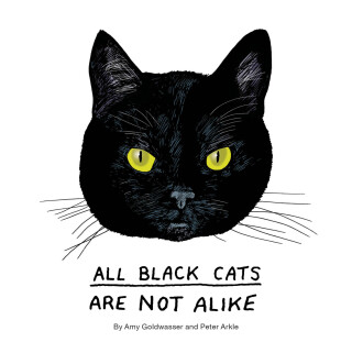 All Black Cats Are Not Alike