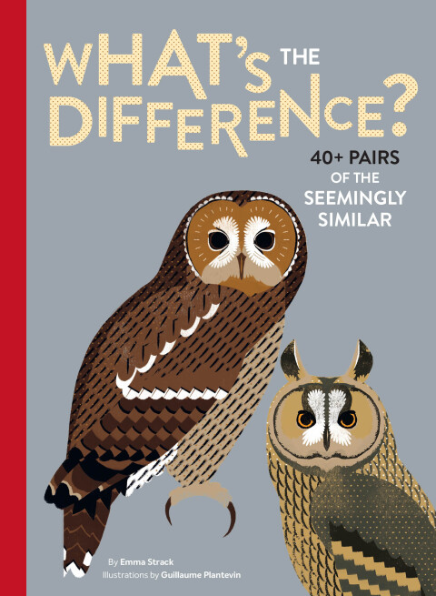 Cover image for book What's the Difference?