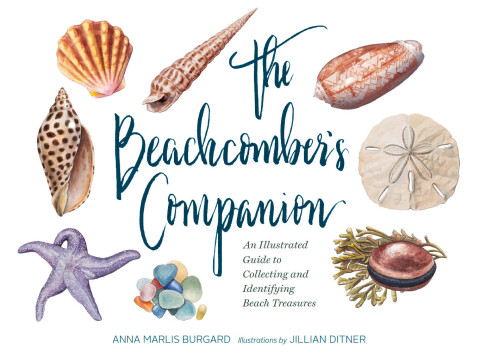 Cover image for book The Beachcomber's Companion