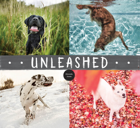 Cover image for book Unleashed