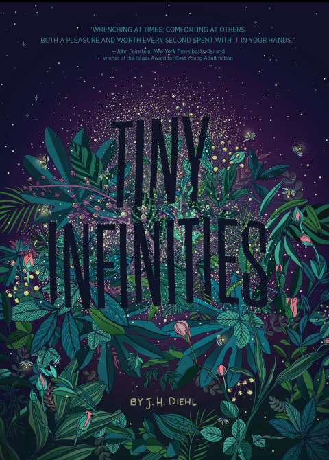 Cover image for book Tiny Infinities