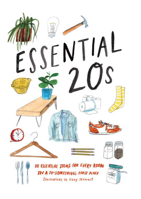 Cover image for book Essential 20s