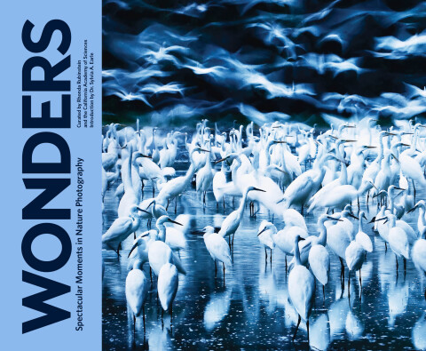 Cover image for book Wonders
