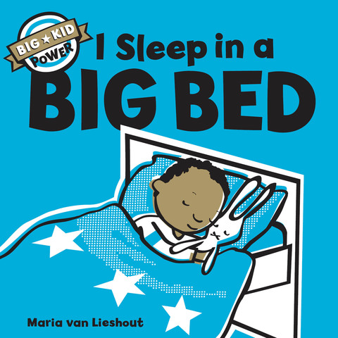 Cover image for book I Sleep in a Big Bed