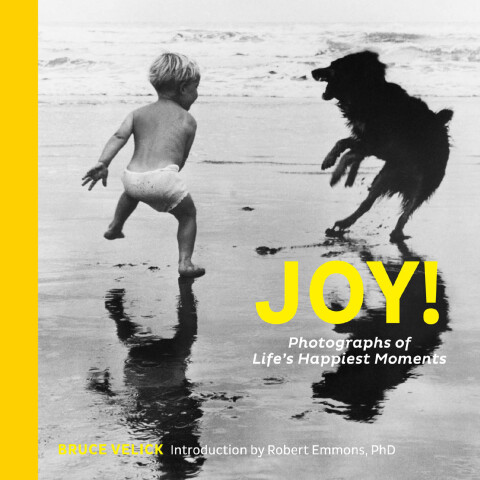 Cover image for book Joy!