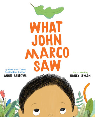 What John Marco Saw