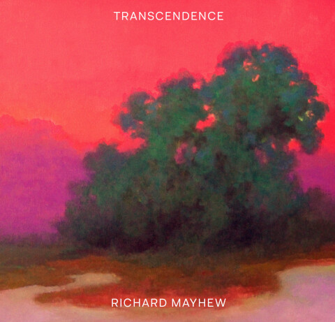 Cover image for book Transcendence