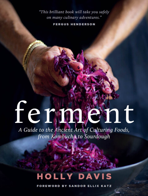 Cover image for book Ferment