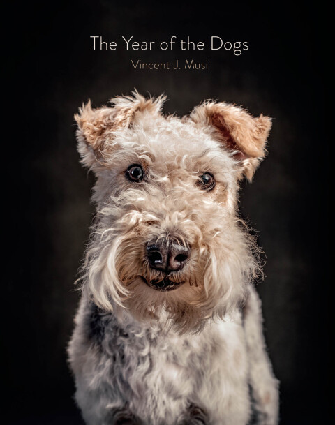 Cover image for book The Year of the Dogs