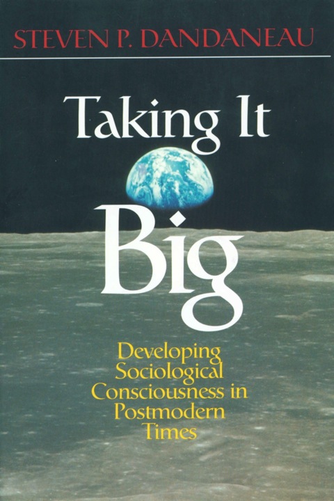 Cover image for book Taking It Big