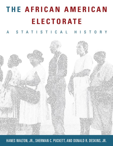 Cover image for book The African American Electorate