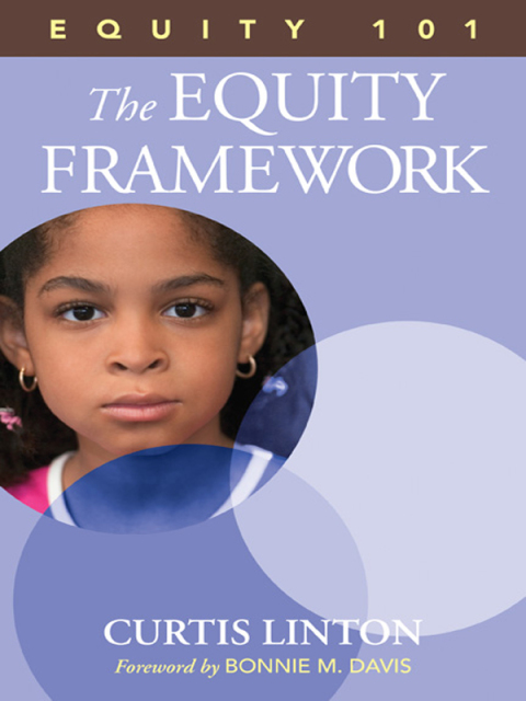 Cover image for book Equity 101- The Equity Framework