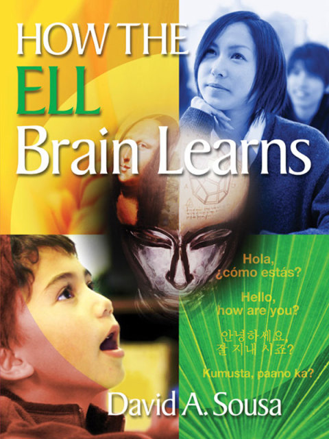 Cover image for book How the ELL Brain Learns