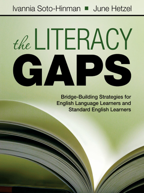 Cover image for book The Literacy Gaps