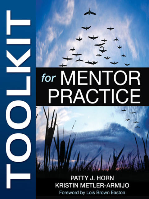 Cover image for book Toolkit for Mentor Practice