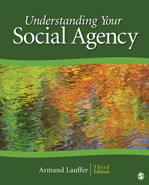 Cover image for book Understanding Your Social Agency