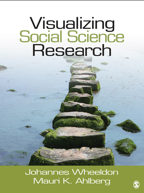 Cover image for book Visualizing Social Science Research