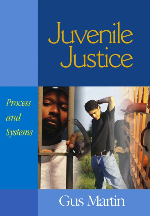 Cover image for book Juvenile Justice: Process and Systems