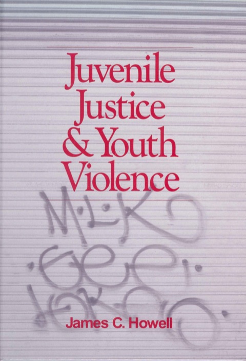 Juvenile Justice and Youth Violence 