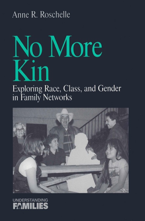 Cover image for book No More Kin