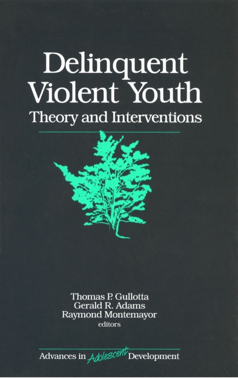 Cover image for book Delinquent Violent Youth