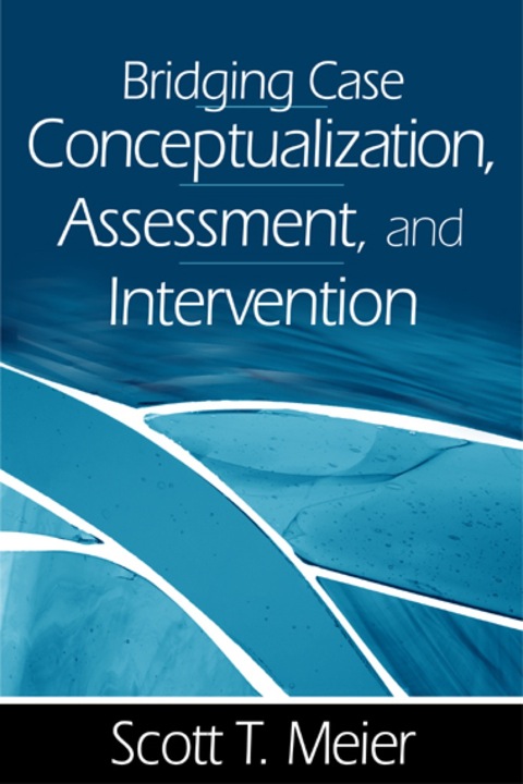 Cover image for book Bridging Case Conceptualization, Assessment, and Intervention