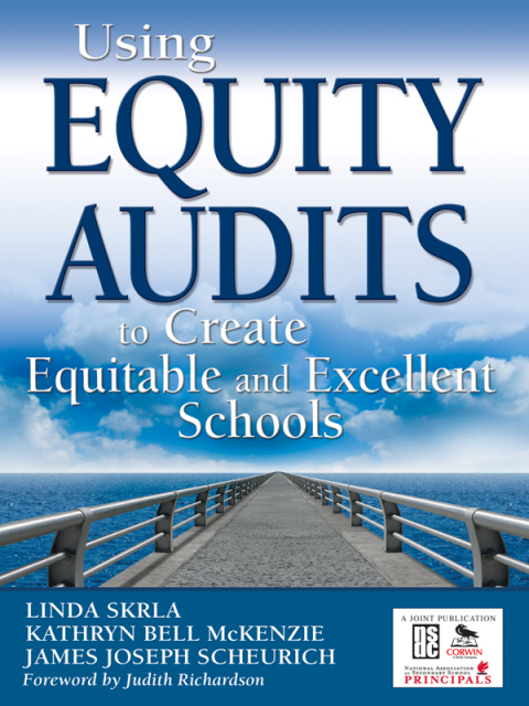 Cover image for book Using Equity Audits to Create Equitable and Excellent Schools