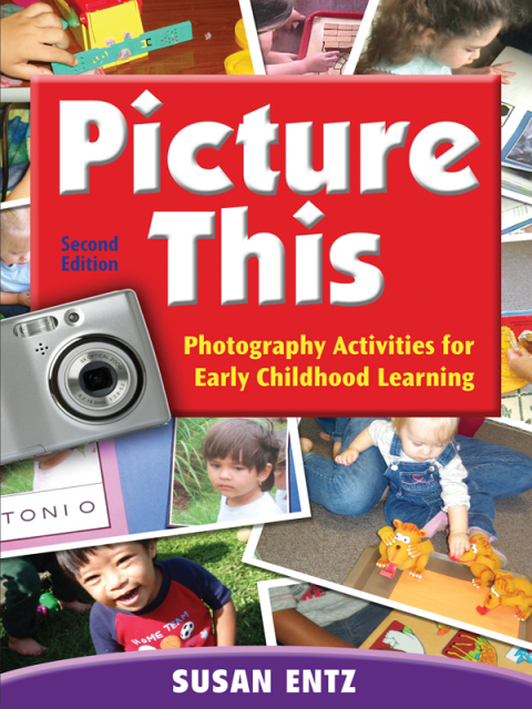 Cover image for book Picture This